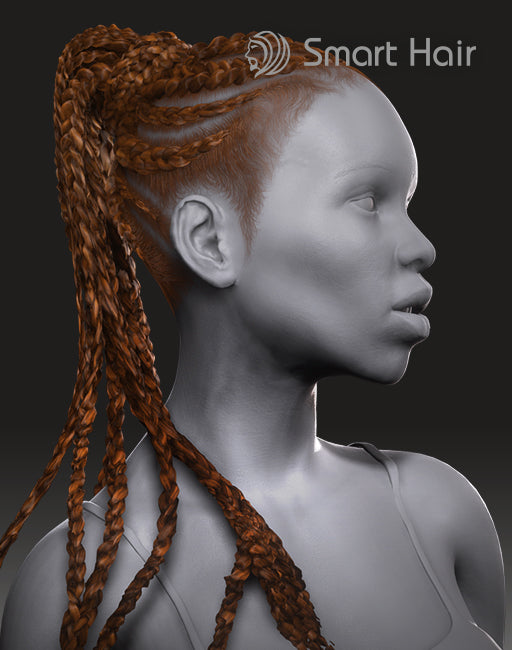 IC - Braided Pony Tail