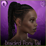 IC - Braided Pony Tail