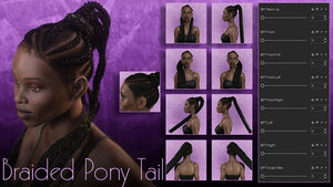 IC - Braided Pony Tail