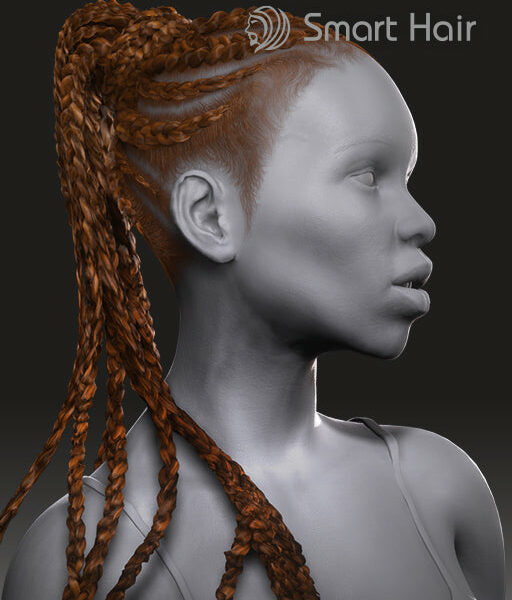 IC - Braided Pony Tail