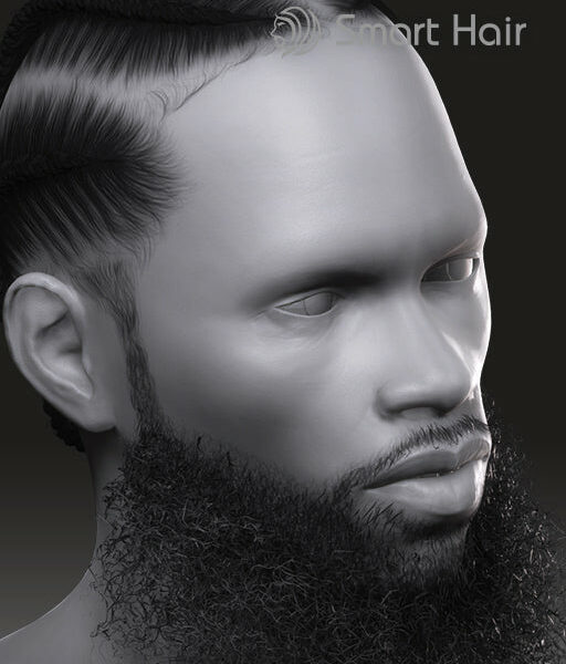 IC - Nipsey Hair & Beard